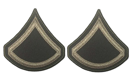 AGSU CHEVRONS  E3 PRIVATE FIRST CLASS